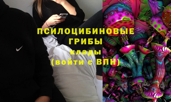 мяу мяу мука Алексин