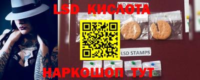 прущие грибы Краснознаменск