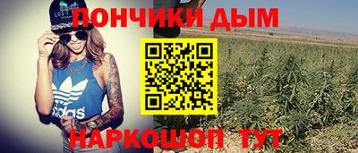 прущие грибы Краснознаменск