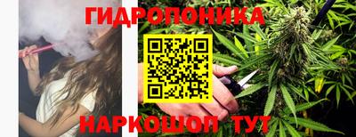 ешки Краснодар