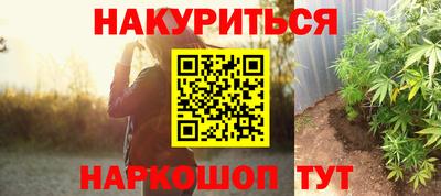 прущие грибы Краснознаменск