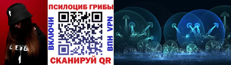 Псилоцибиновые грибы GOLDEN TEACHER  Новокубанск 