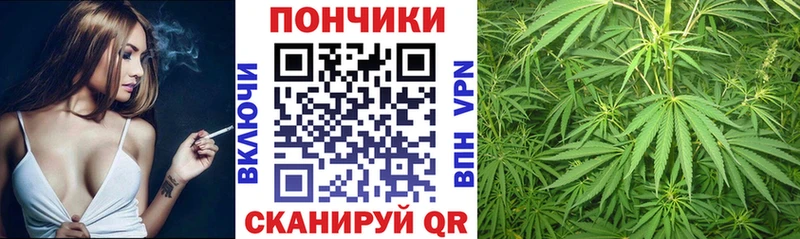 Бошки марихуана Amnesia Новокубанск